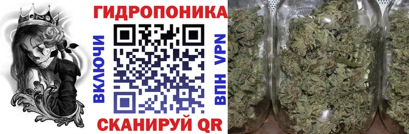 Что такое Губкинский Псилоцибиновые грибы кракен как войти ГАШ Бошки Шишки Кокаин Мефедрон