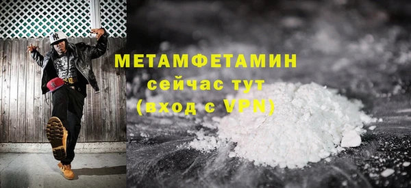 гидра Богородицк