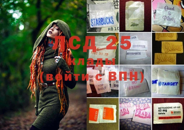 молекула духа Белокуриха