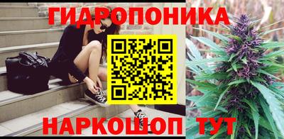 стаф Берёзовский