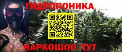 стаф Берёзовский