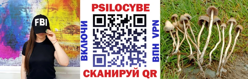 Галлюциногенные грибы ЛСД  Губкинский 